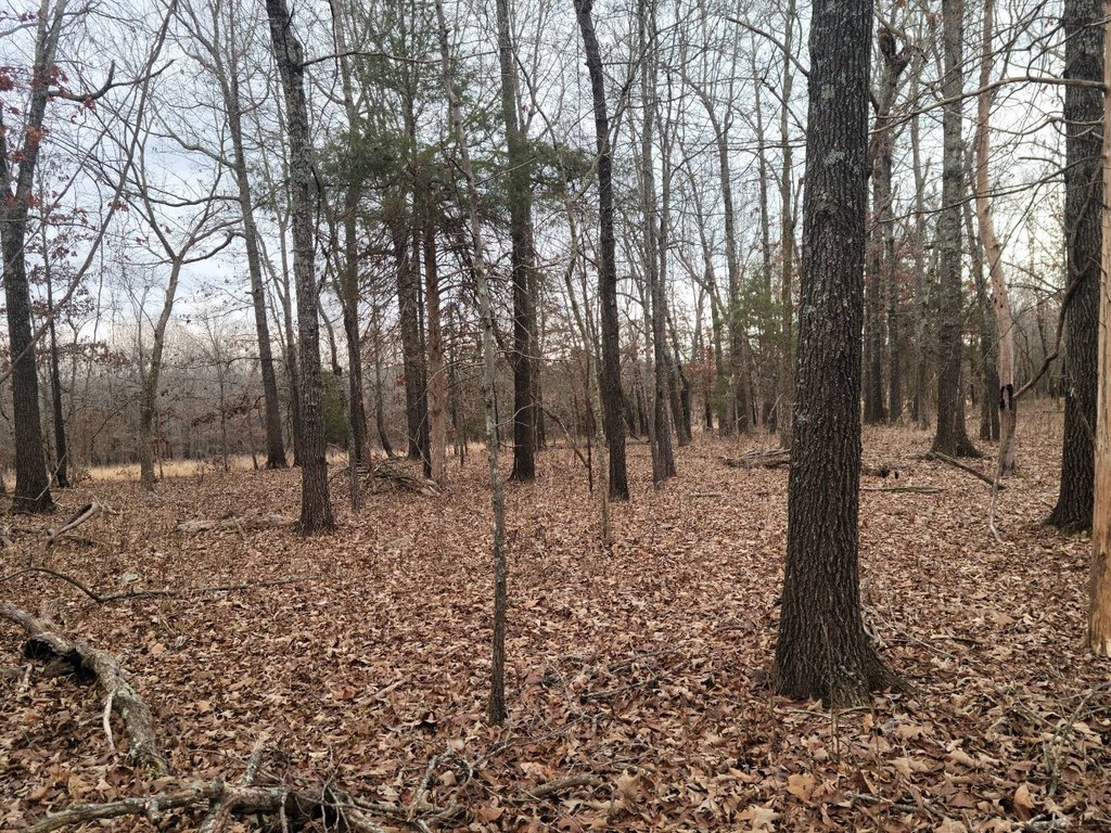 Picture 7