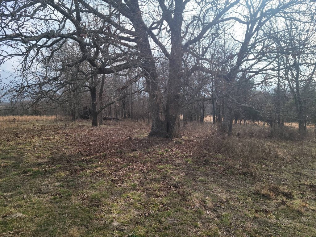 Picture 40