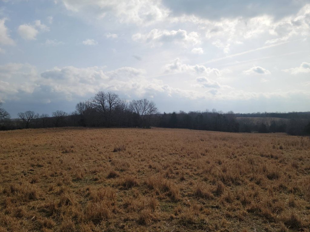 Picture 51