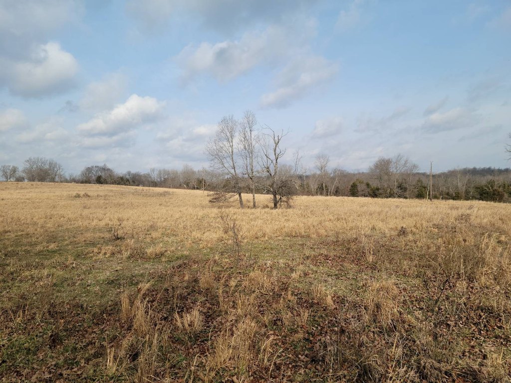 Picture 43