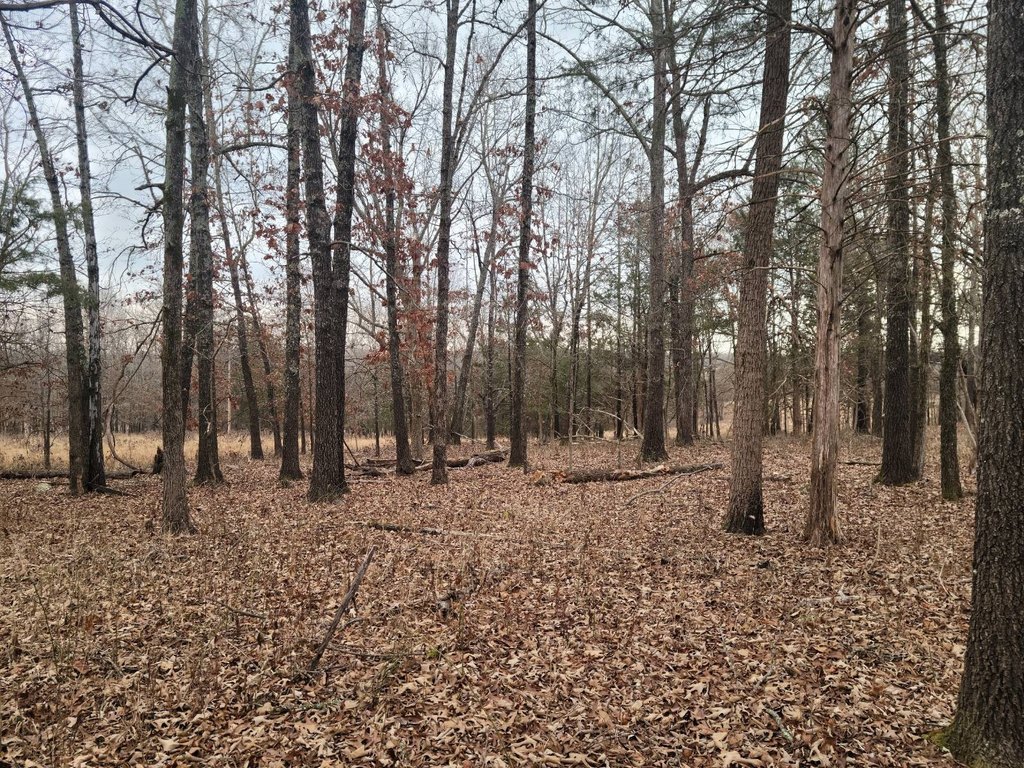 Picture 9