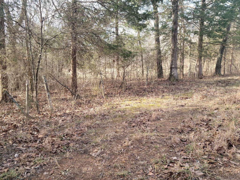 Picture 31