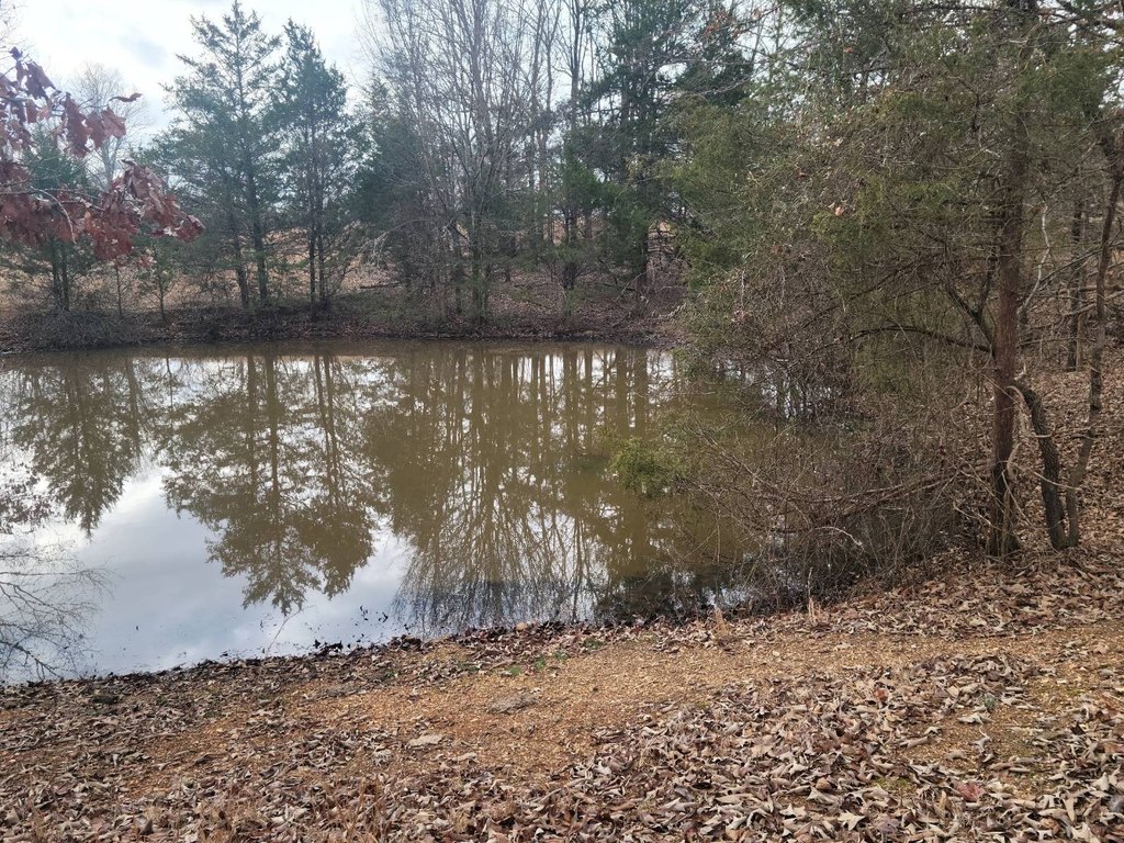 Picture 16