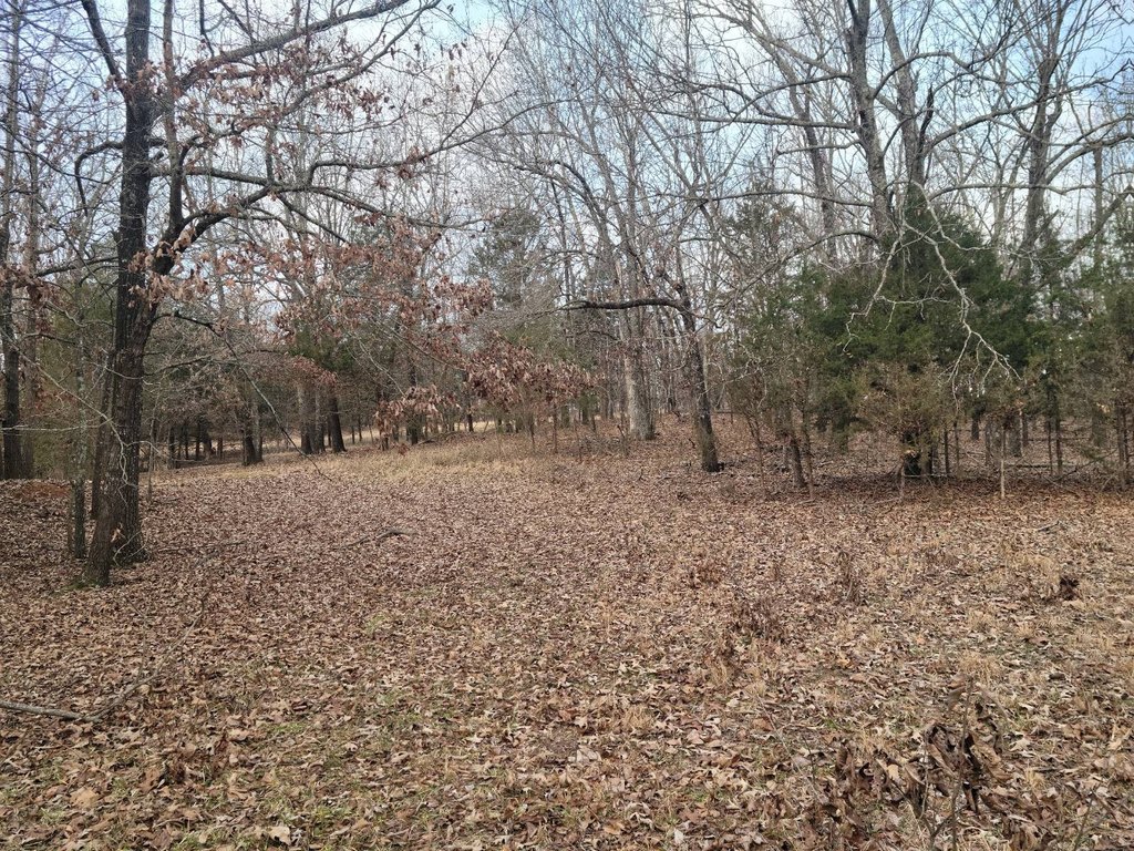 Picture 18