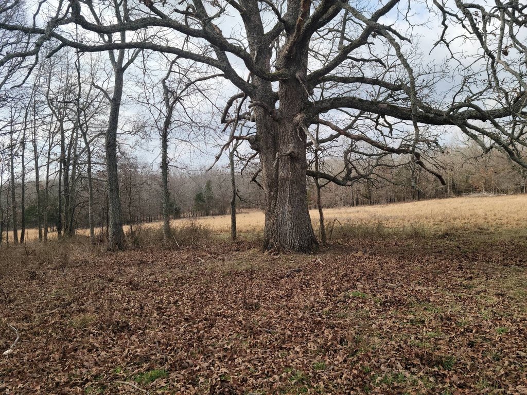 Picture 46