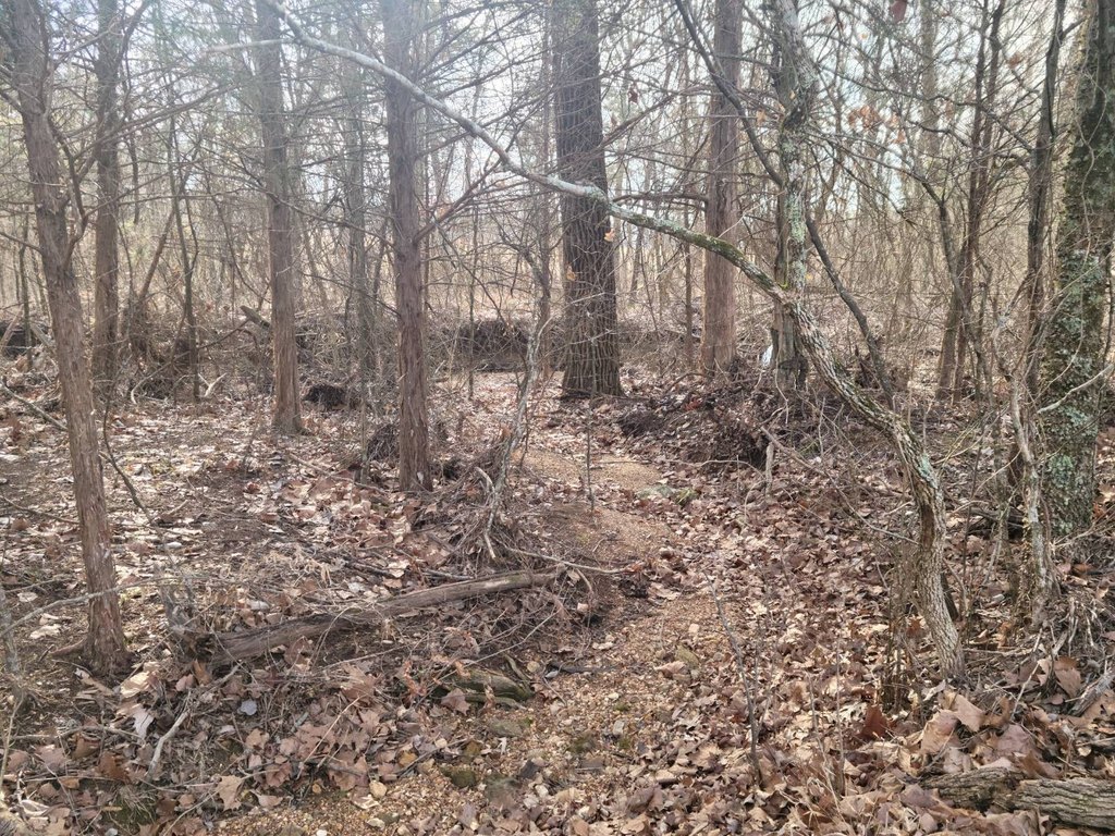 Picture 33