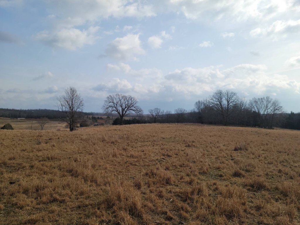 Picture 52