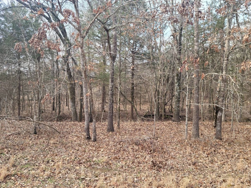 Picture 26