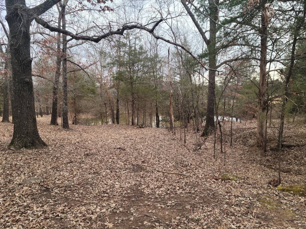 Picture 15