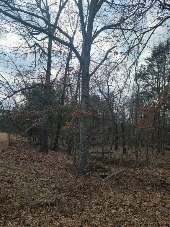 Picture 23