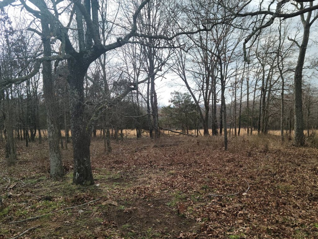 Picture 47