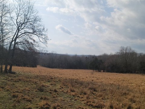 Rural Land with Multiple Building Sites