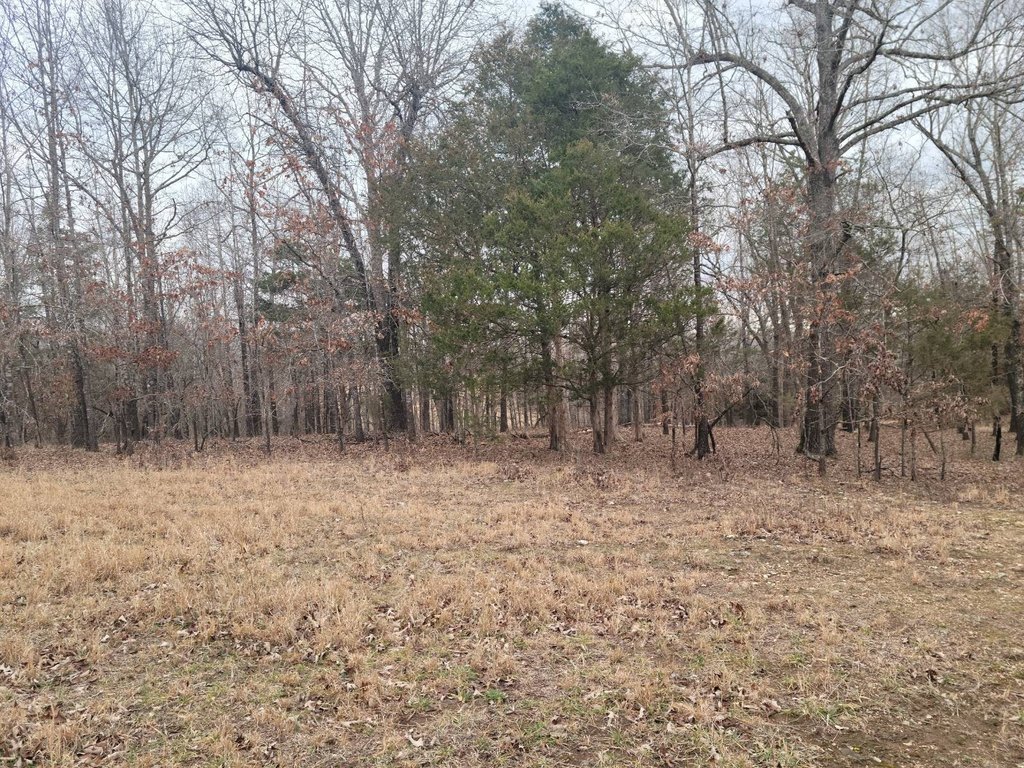 Picture 12