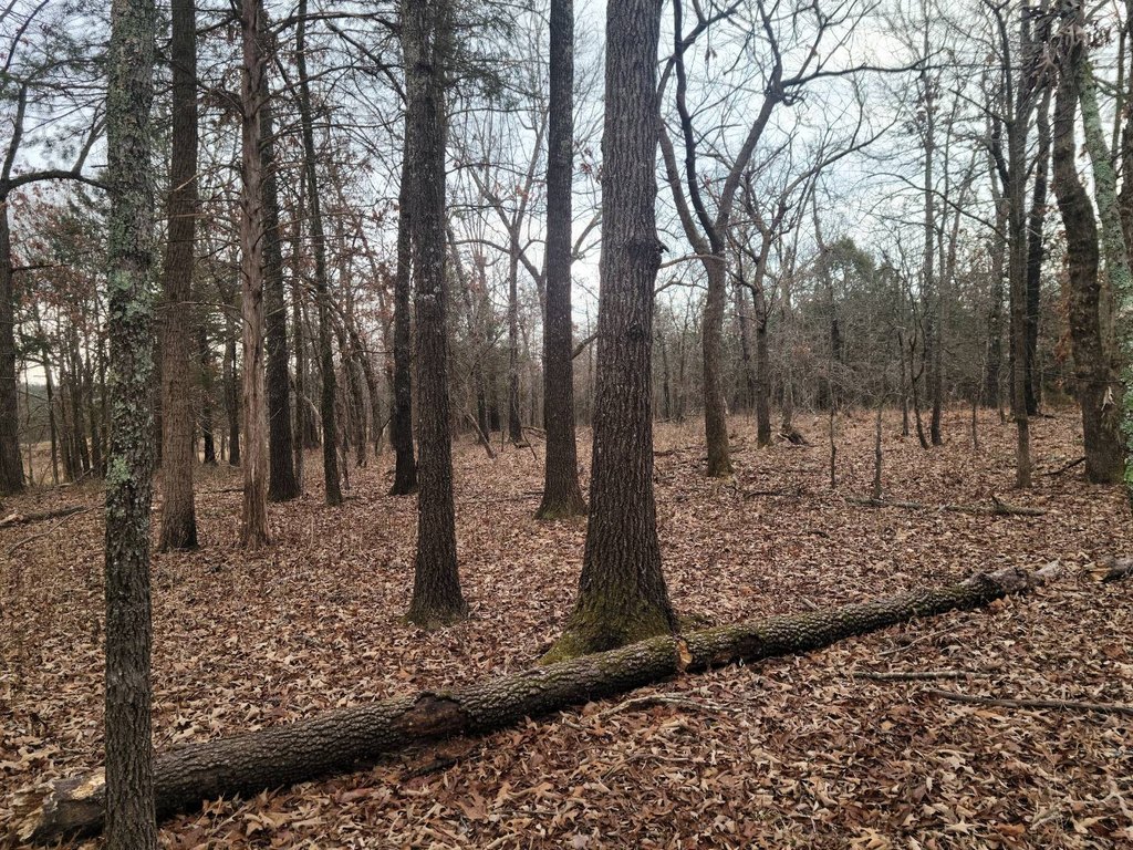 Picture 8