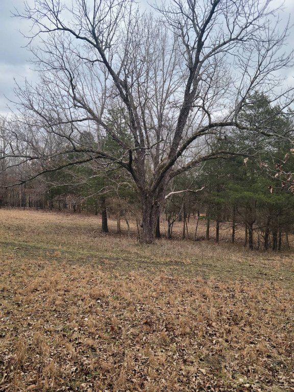 Picture 11
