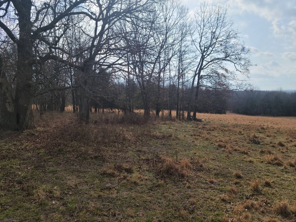 Picture 41