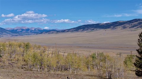 Land, FAIRPLAY, CO