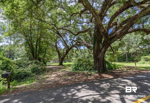 Waterfront Land with River Frontage