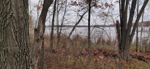 Lawrence Lake Wooded Lakeshore Lot