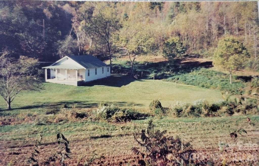 Picture 13