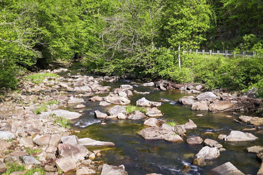 Picture 14