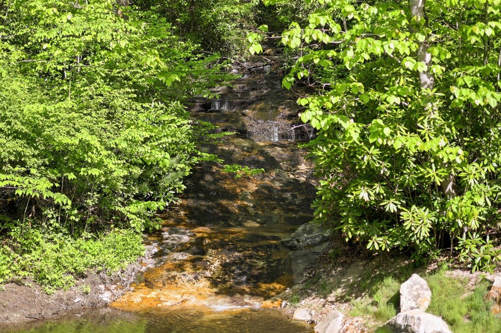 Picture 33