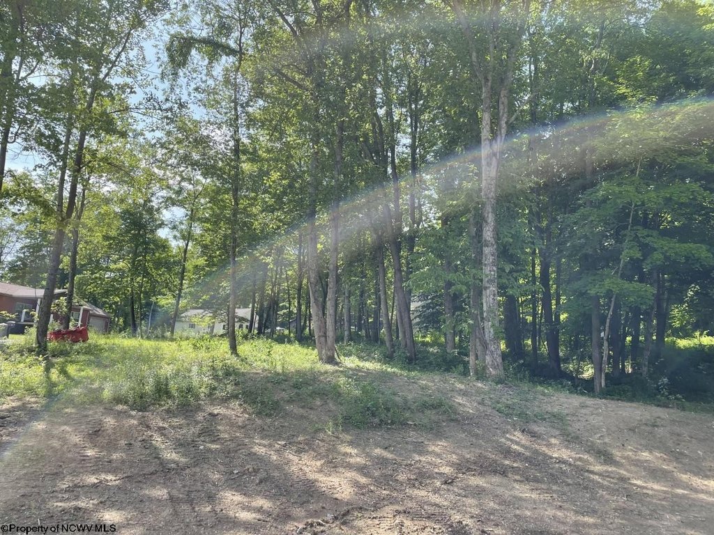 Picture 5