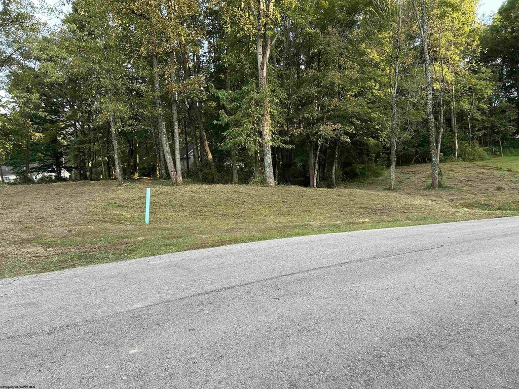 Picture 6