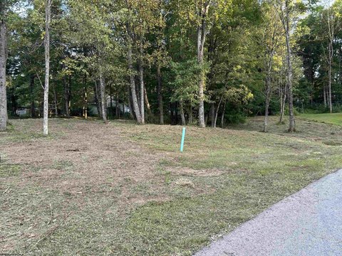 Residential Land in Kingwood, WV