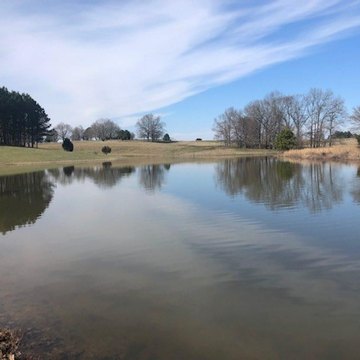 LAND - Rossville, TN