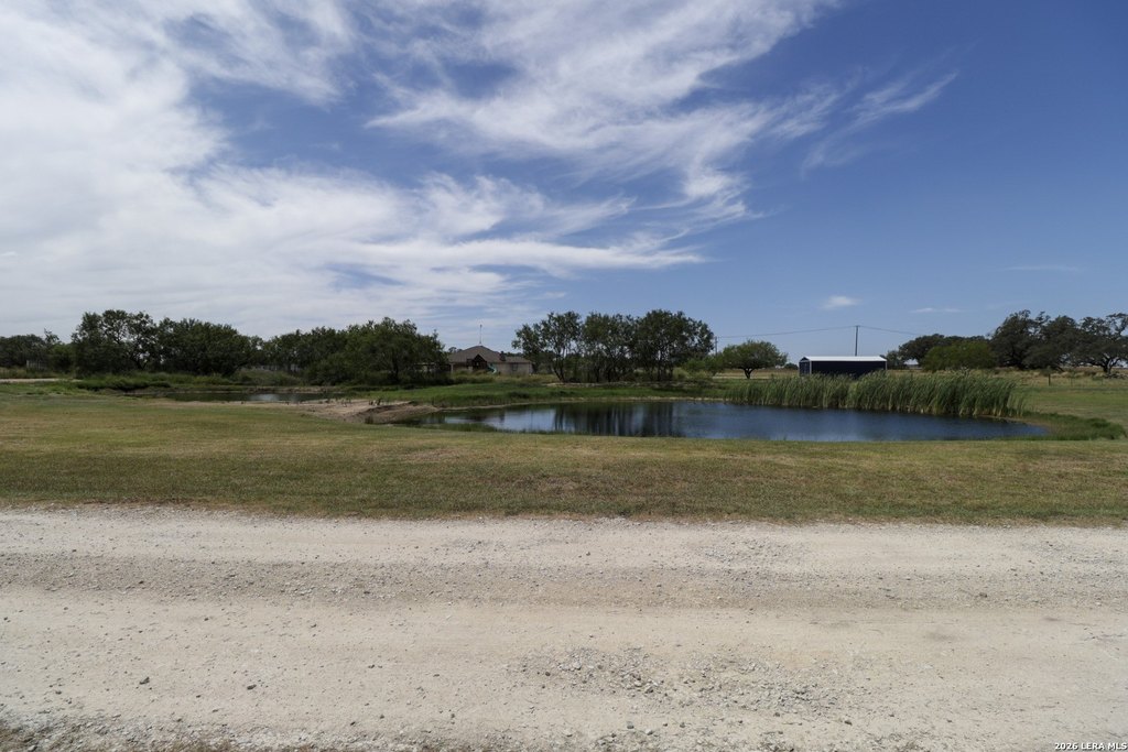 Picture 19