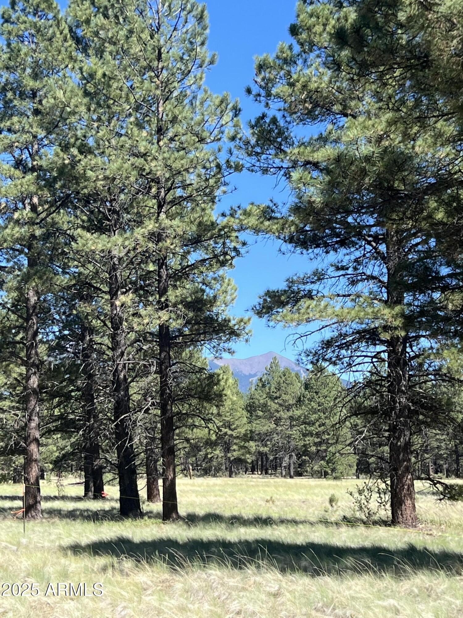 20 Acres Wooded Land, Views
