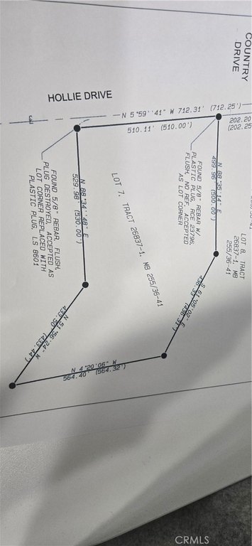 Picture 16