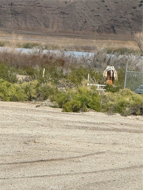 Picture 4