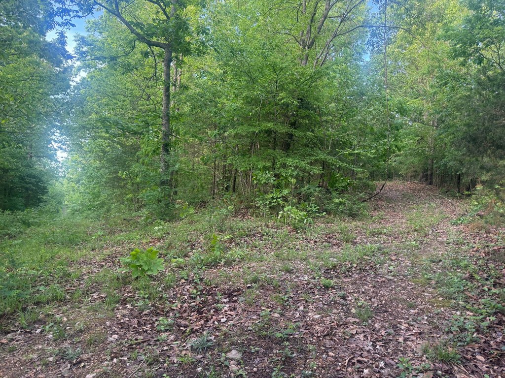 Picture 18
