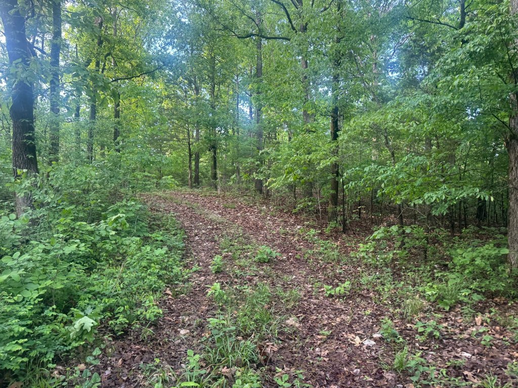 Picture 15