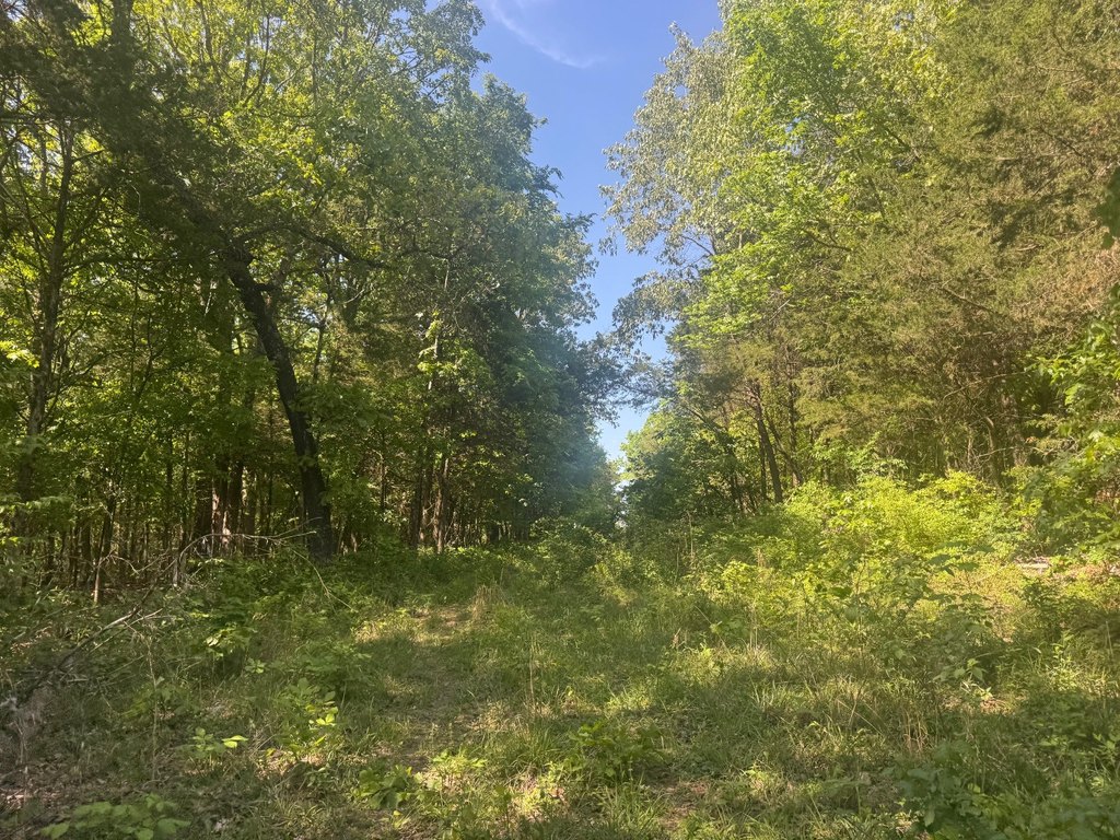 Picture 29