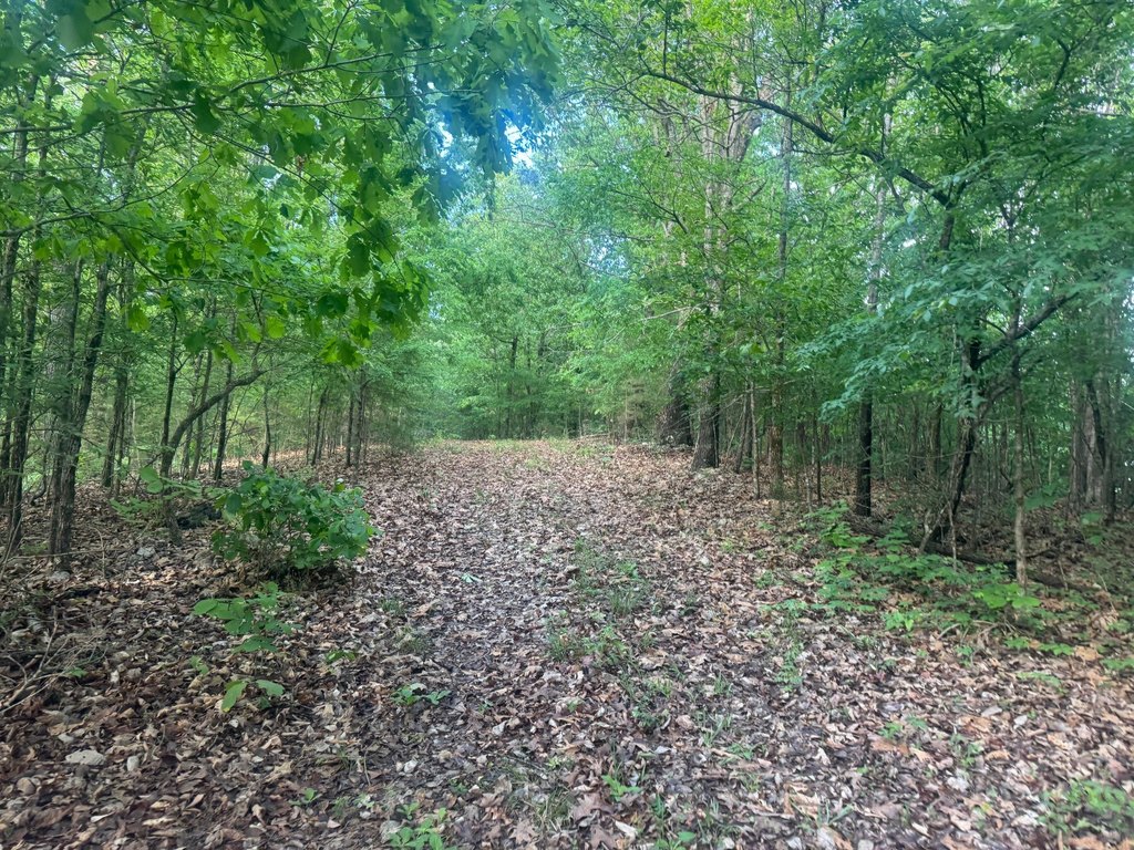 Picture 19