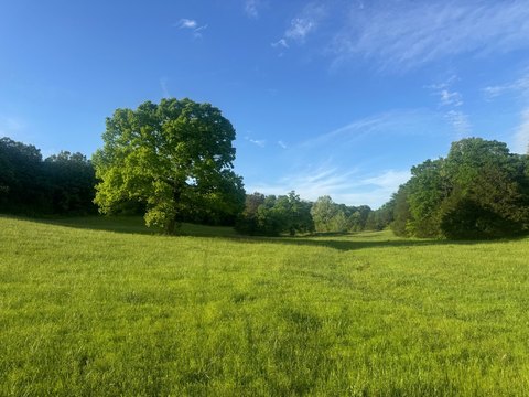 Multi-Use Hunting and Recreational Land