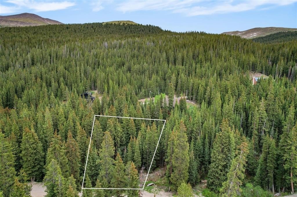Breckenridge Treed Lot For Sale