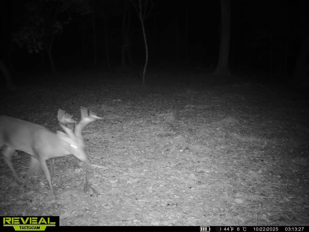 Picture 34