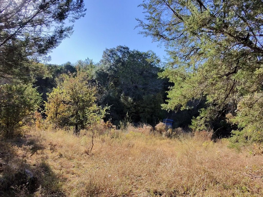 Picture 18