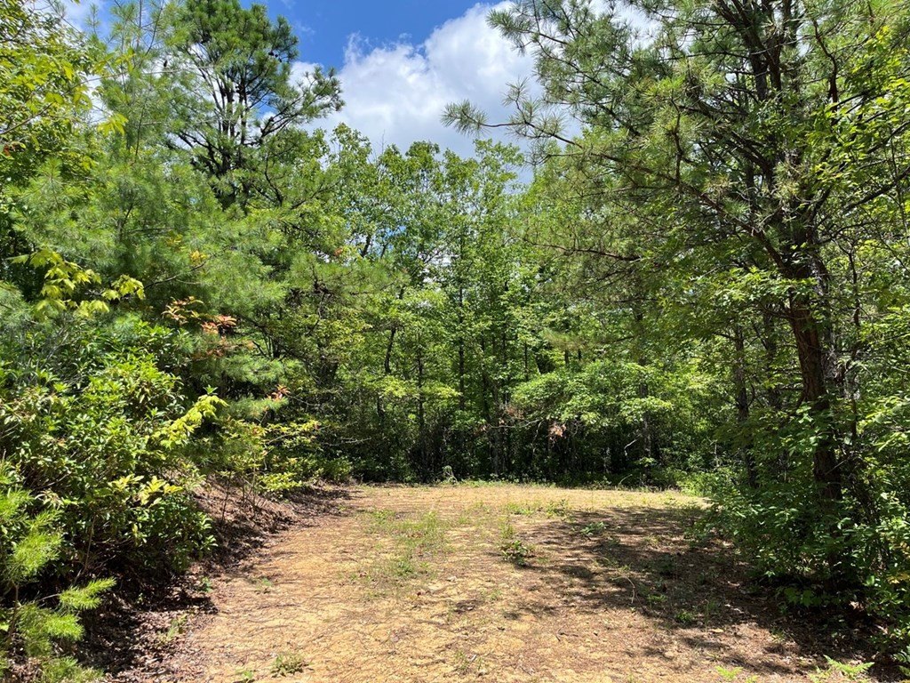 Picture 25