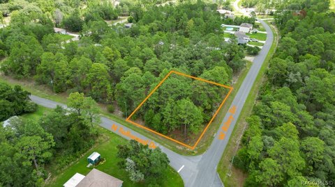 LAND - Citrus Springs, FL