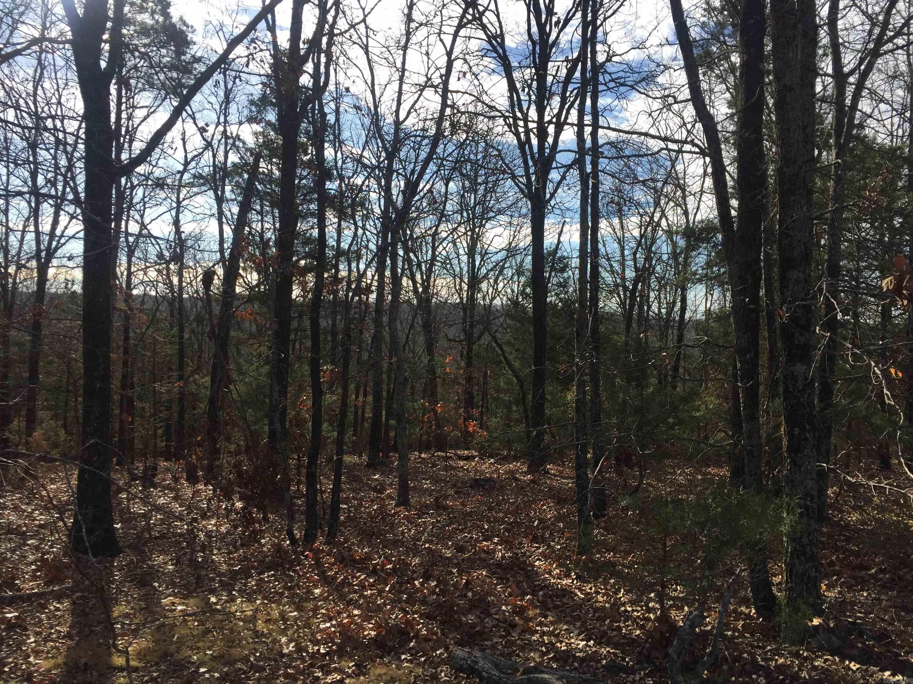Judsonia Land for Hunting