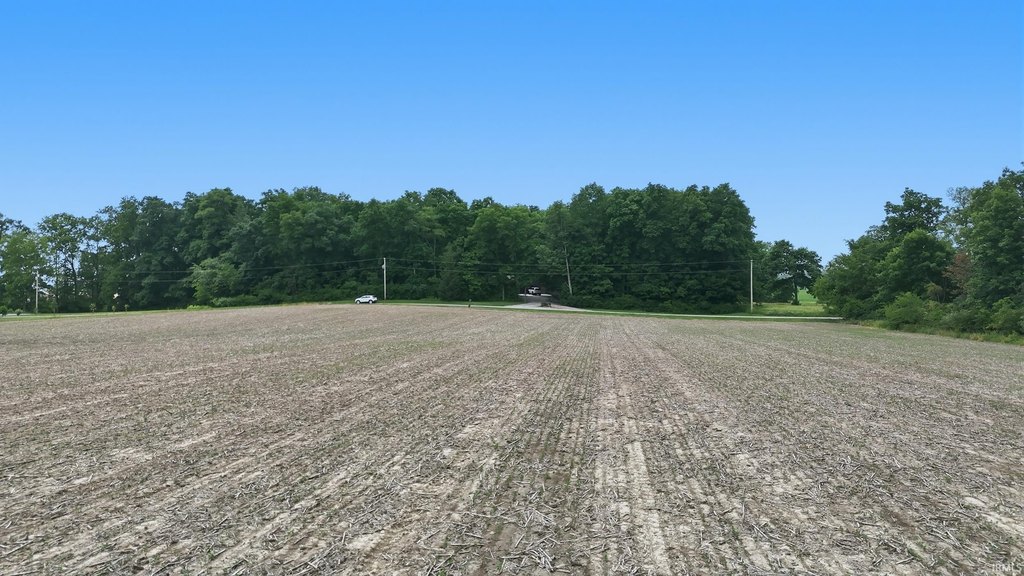 Picture 10