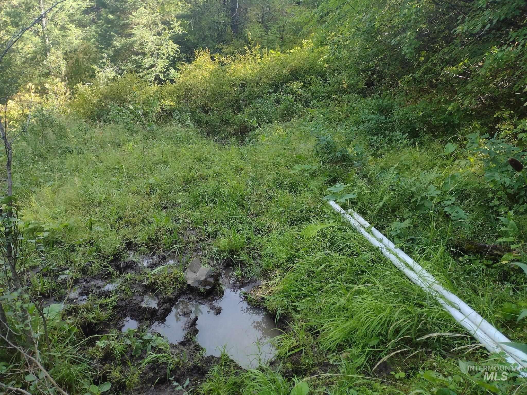 10 Acres Hunting Land, CottonWood