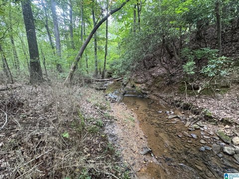 LAND - ROANOKE, AL