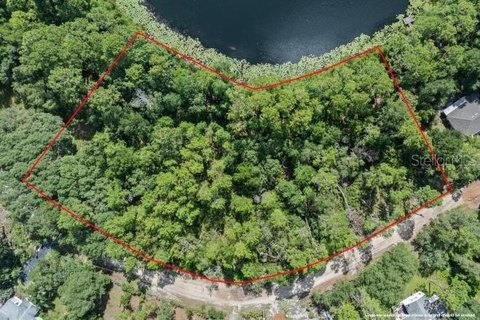 Rural Lakefront Land Parcel