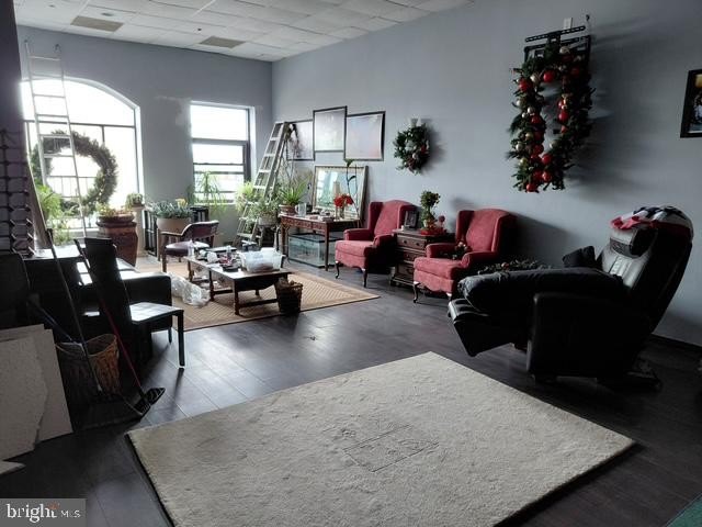 Picture 21